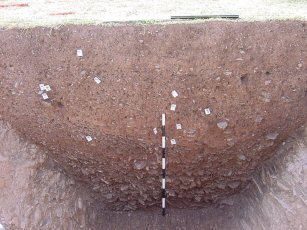 Enclosure ditch in first trench
